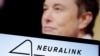 Իլոն Մասքը և Neuralink ընկերության լոգոն, արխիվ