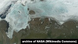 Великая Сибирская полынья. Спутниковое фото.