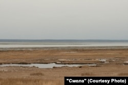 Отлив на заливе Помрь. Фото: Марина Сычева