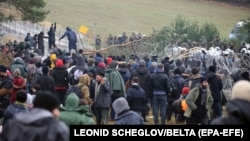 Мигранты на польско-белорусской границе 8 ноября этого года