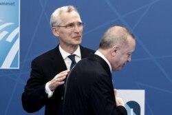 Генсек НАТО Йенс Столтенберг и президент Турции Реджеп Эрдоган