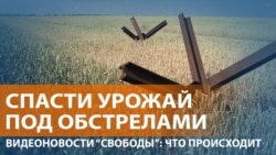Украинские фермеры планируют жатву на фоне войны 