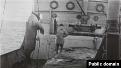 Йонас Лид на палубе парохода "Коррект". Северный ледовитый океан. Из архива Национального музея Норвегии