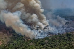 Пожары в бразильской Амазонии. Август 2019 года