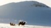 Тувинские чабаны едут на нартах, запряжённых азиатским двугорбым верблюдом, февраль 2018 года