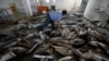 Китайские рыбаки отрезают плавники у убитых акул