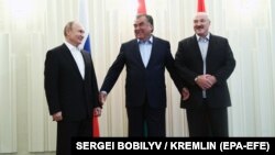 Путин, Рахмон и Лукашенко, июнь 2019 года