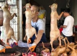 Забитые собаки на "мокром рынке" в китайском городе Юйлинь
