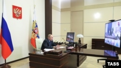 Владимир Путин встречается с членами СПЧ по видеосвязи