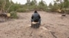 Иркутск: житель получил 6 лет за махинации с лесом на 407 млн рублей