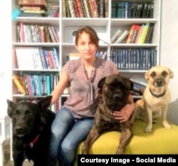 Виктория Павленко и ее собаки