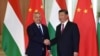 Лідери Угорщини і Китаю мають гарні стосунки в той час, коли напруженість між Пекіном та ЄС зростає 