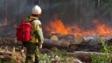 Сотрудник ФБУ "Авиалесоохрана" на месте природного пожара. 