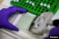 Подготовка образцов белков к поиску мишеней для лечения рака