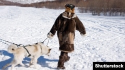 Чукча-охотник помогает идти собачьей упряжке