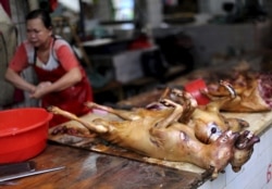 Убитые собаки на "мокром рынке" в городе Юйлинь в китайской провинции Гуанси