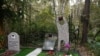 Памятник Янке Дягилевой открыли на её могиле в Новосибирске