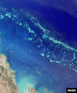 Участок Большого Барьерного рифа. Снимок из космоса