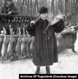 "Mrs. Pusanov," the wife of Soviet Ambassador Aleksandr Pusanov, shows off a freshly killed fox "that she thinks may be good for a fur scarf" in Karadjordjevo.