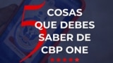 CBP One