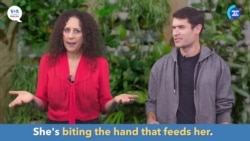 English in a Minute: Bite the Hand That Feeds You