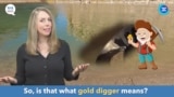 English in a Minute: Gold Digger