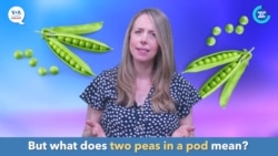 English in a Minute: Two Peas in a Pod