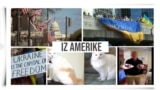 Iz Amerike 190 | Kongres i pomoć Ukrajini; Ukrajinci u Čikagu; Bajden na Tik Toku; Klonirana mačka