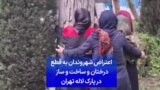 اعتراض شهروندان به قطع درختان و ساخت و ساز در پارک لاله تهران

