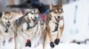 Wally Robinson’s dog team during the official restart of the 52nd Iditarod Trail Sled Dog Race in Willow, Alaska, March 3, 2024. 