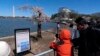 With the Washington Monument and Jefferson Memorial in the background, visitors take photographs of Stumpy, the popular cherry tree at the Tidal Basin as cherry trees enter peak bloom this week in Washington, March 24, 2024. 