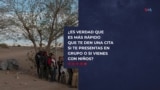 ¿Es verdad que es más rápido que te den una cita si te presentas en grupo o si vienes con niños?