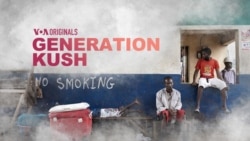 Preview: Generation Kush