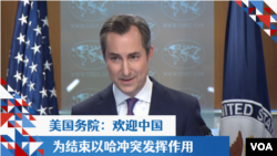 美国务院：欢迎中国为结束以哈冲突发挥作用