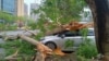22일 중국 남부 광둥성 칭위안시에 쏟아진 폭우로 나무가 쓰러지며 파손된 차량.