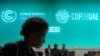 Cambodia Making Seven Commitments to Combat Climate Change at COP28