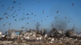 Последствия российского ракетного удара по зернохранилищу в деревне Киселевка в Херсонской области Украины. 10 ноября 2023.