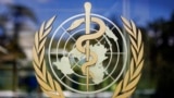 资料照片：世界卫生组织的标志。