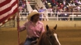 Diverse Rodeo

