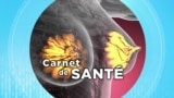 carnet de santé 28 février 2024