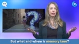 English in a Minute: Memory Lane