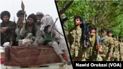 شماری از جنگجویان طالبان و ضد طالبان