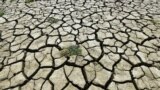 This photo taken on Aug. 16, 2022, shows a section of a parched riverbed along the Yangtze River in China's southwestern Chongqing. 