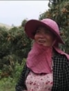 چین: سخت کرونا پالیسی سے پڑوسی ممالک کے کسان متاثر 