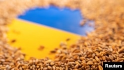 (FILE) The Ukrainian flag is covered with grains.
