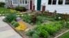 Americans Ideas About Their Lawns Are Changing