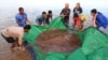 Cambodian Fishermen Catch Rare Giant Stingray in Mekong River