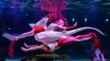 Divers perform during a Christmas-themed underwater show at the Aqua Planet 63 aquarium in Seoul, South Korea, Dec. 8, 2022.