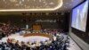 В Совбезе ООН идет экстренное заседание, созванное по инициативе России и Китая 