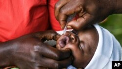 A baby receives a polio vaccine during the Malawi Polio Vaccination Campaign Launch, in Lilongwe Malawi, Sunday March 20, 2022. A drive to vaccinate more than 9 million children against polio has been launched this week in four countries in southern and e